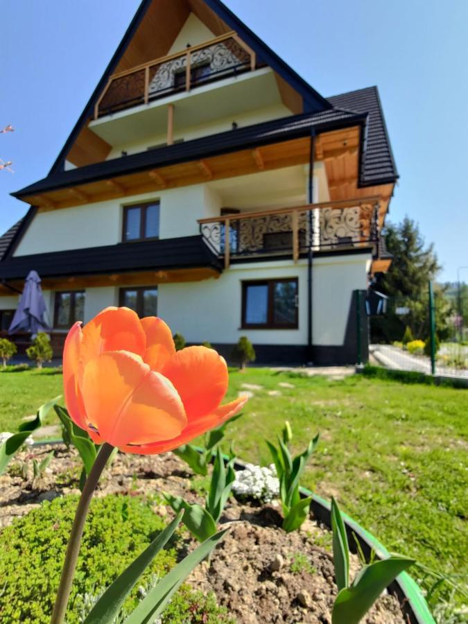 Apartamento To Tu Czarna Góra Exterior foto
